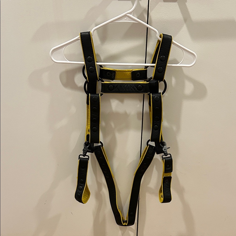 Black and Yellow Harness